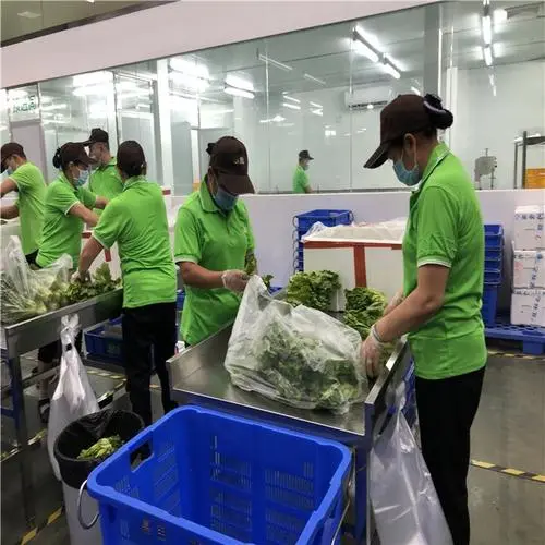 機關(guān)單位找食堂配送食材需要注意哪些事項？