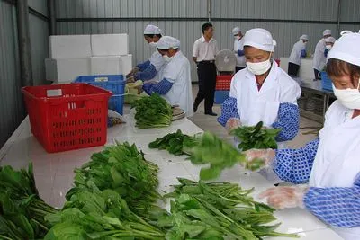 食堂承包公司告訴大家三伏天注意事項有哪些？