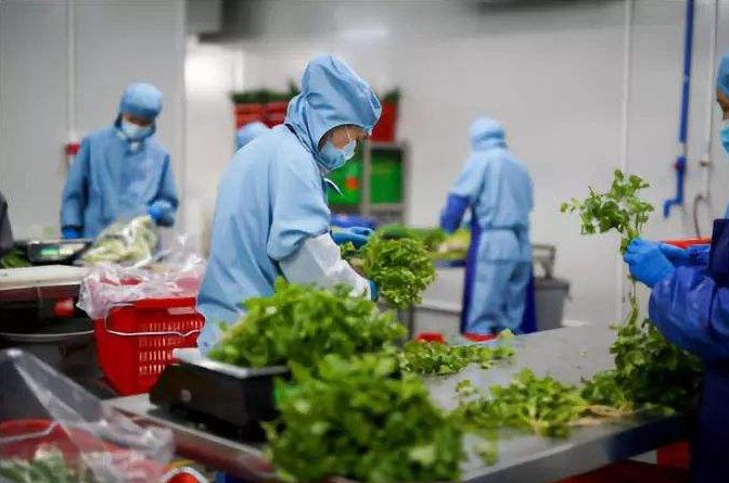 深圳食堂承包的發(fā)展是怎樣？